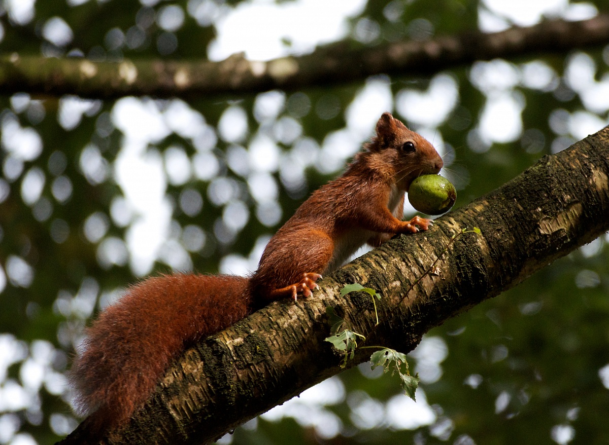 Tutto pronto per l'inverno