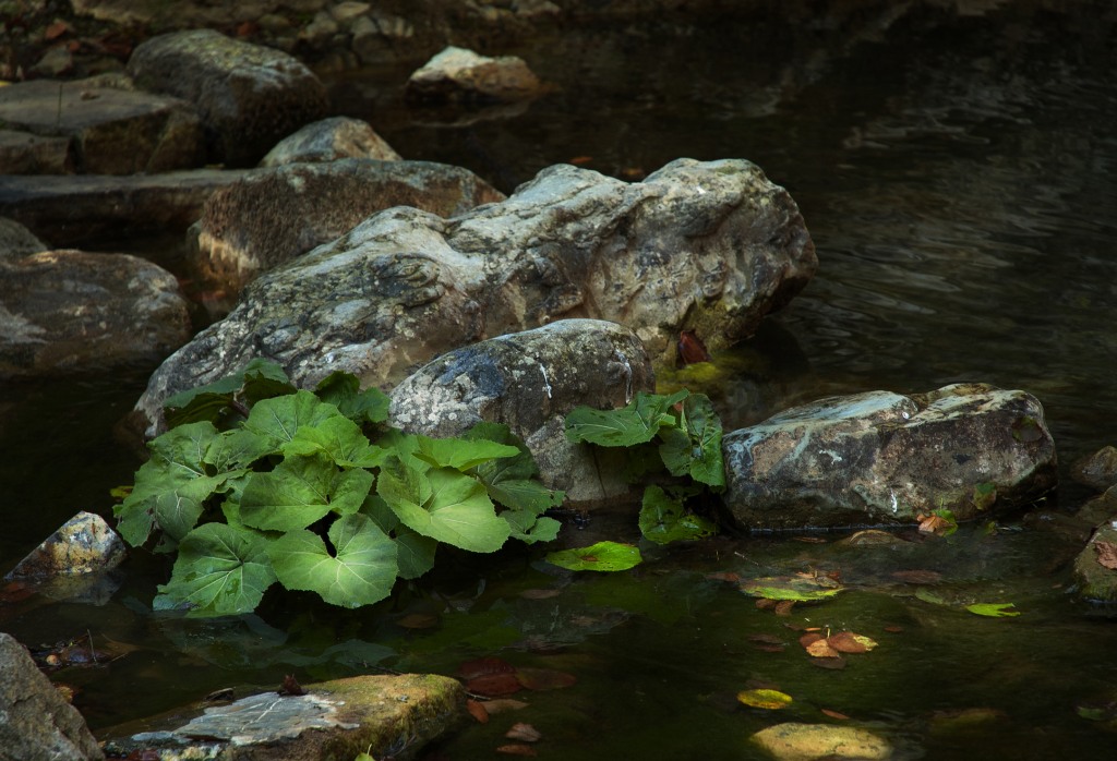 Falls San Fele (pcs)