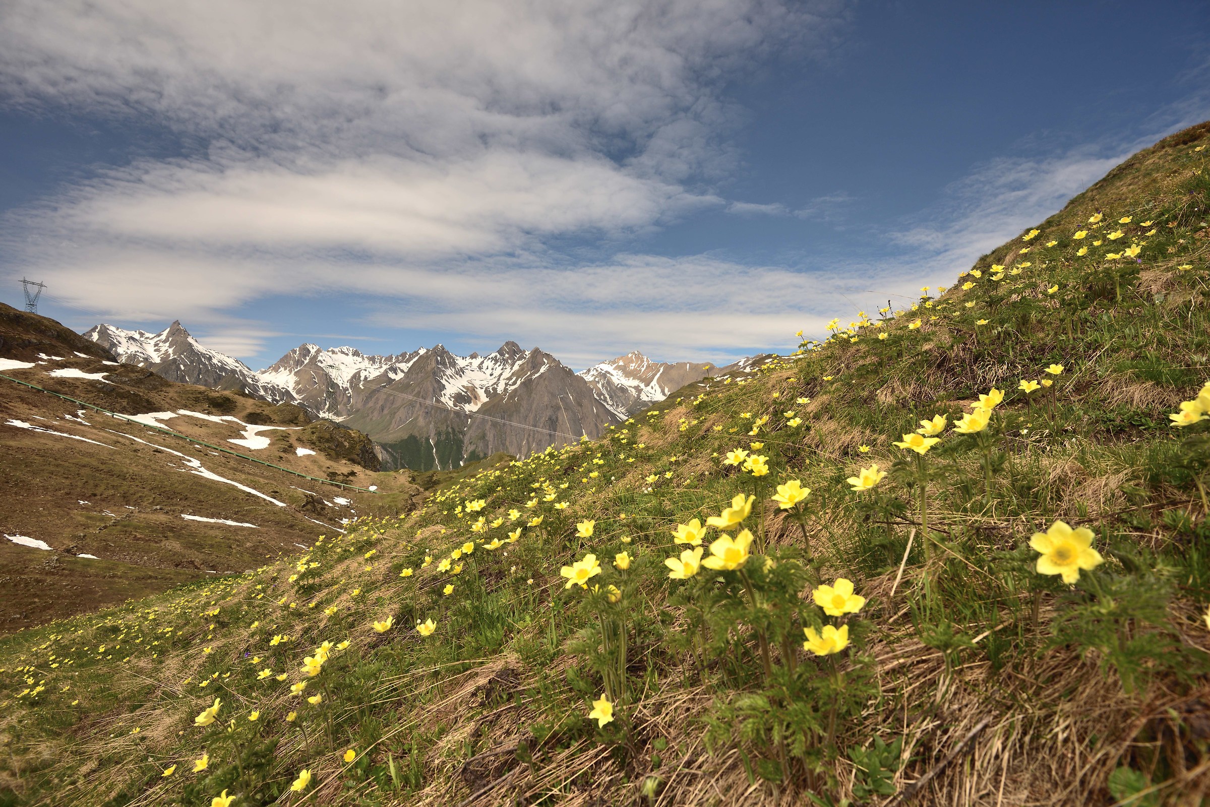 The presence of butterflies gives a touch more '