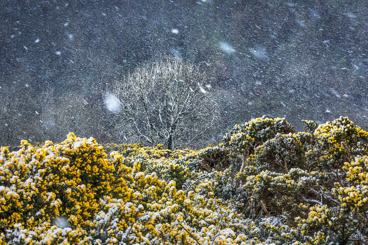 La Primavera della tempesta