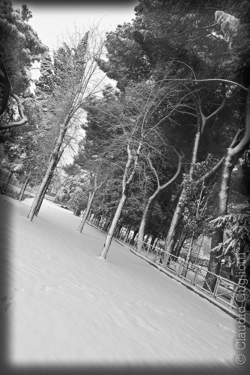 Nevicata a roma 2012