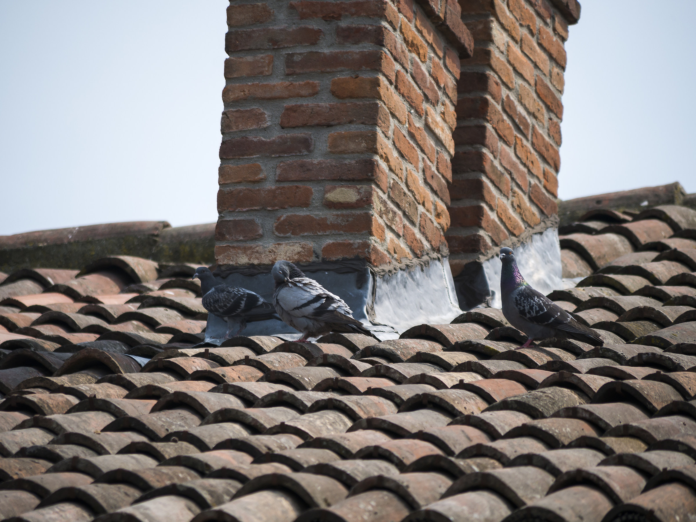 Lumix 100-300 f4-5.6 a 300mm f5,6