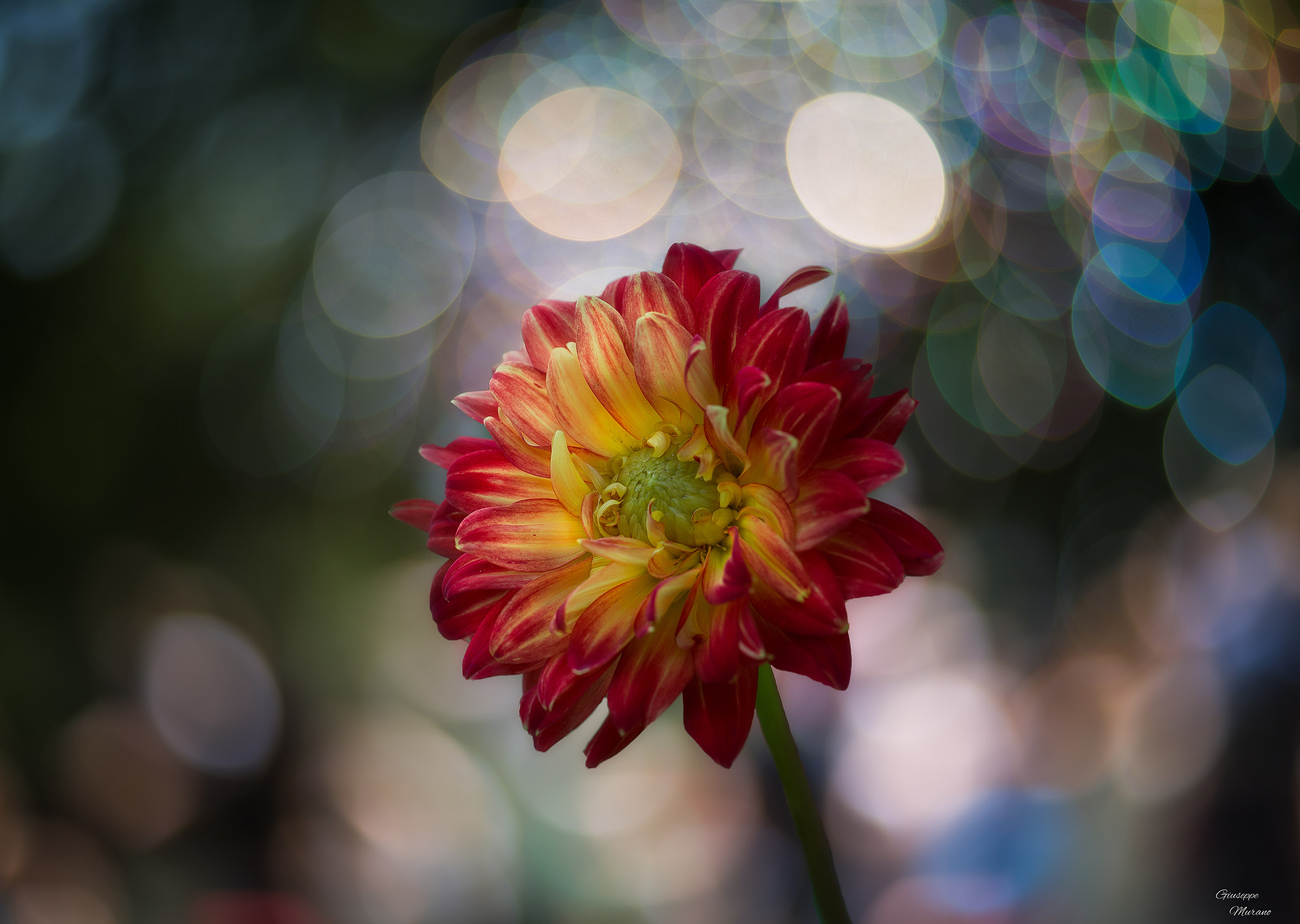 Between the bubbles ..