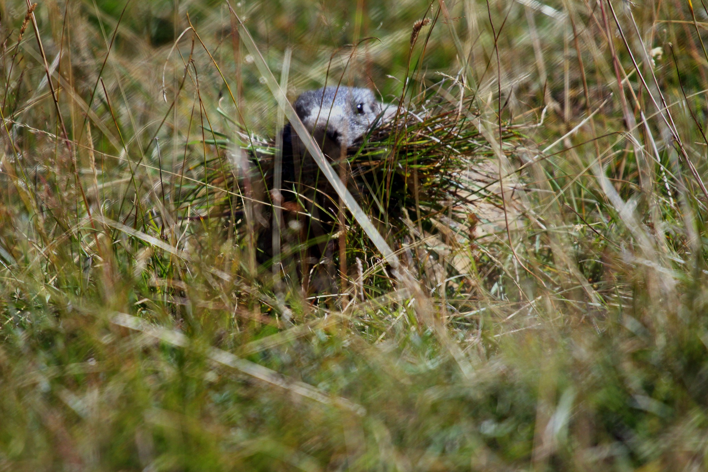 scorte per l' inverno