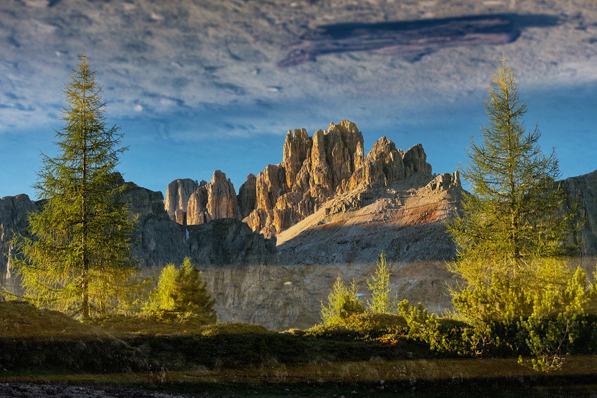 Reflection in Lemedes