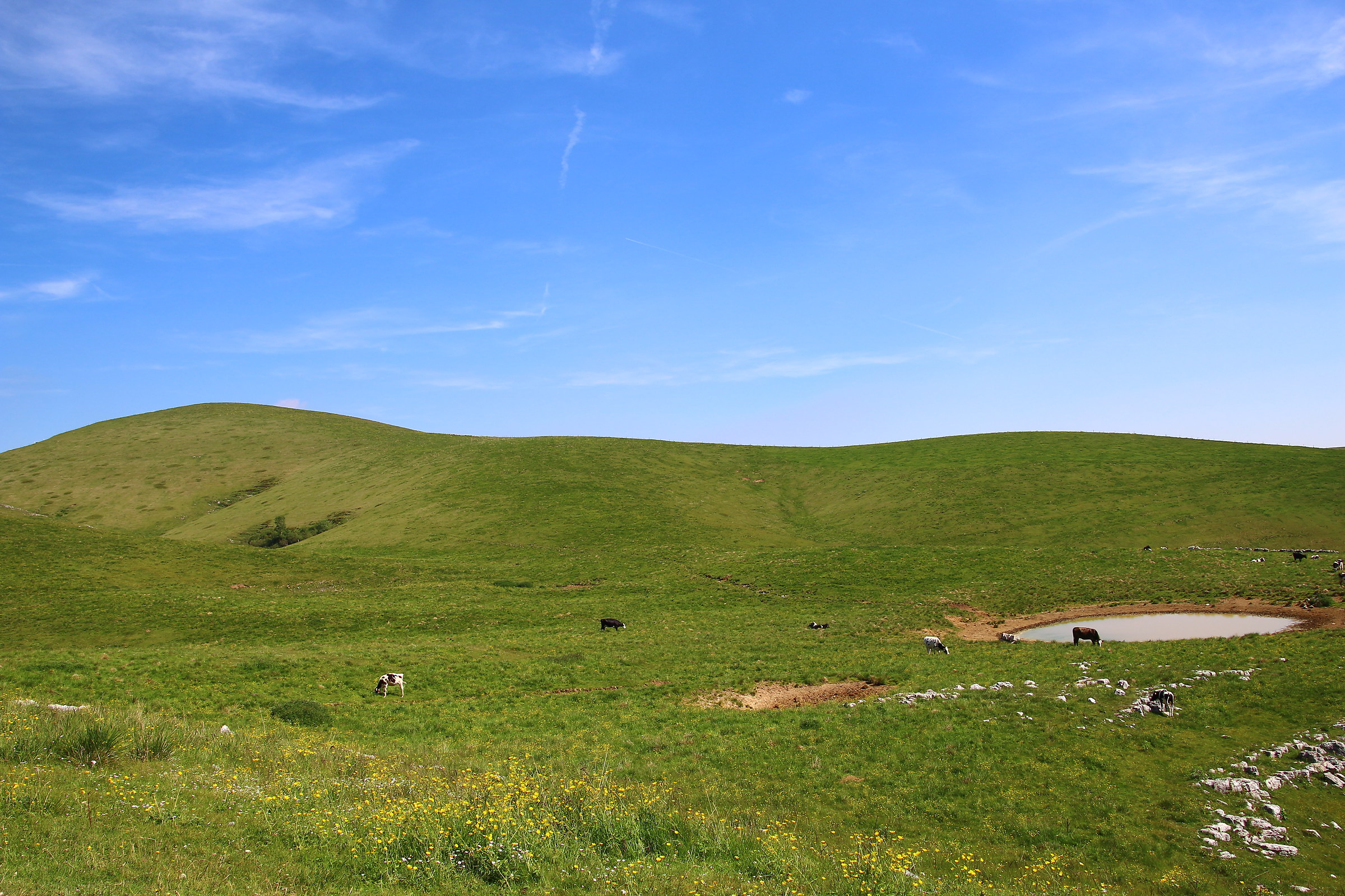 Windows Lessinia Desktop