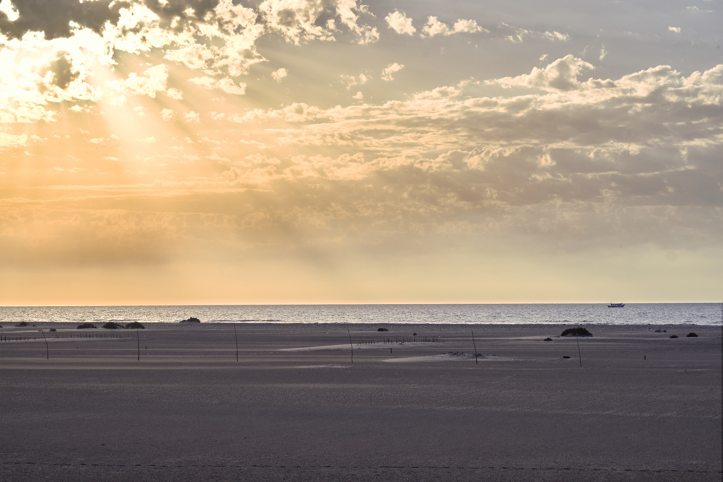 Fin che la barca va...