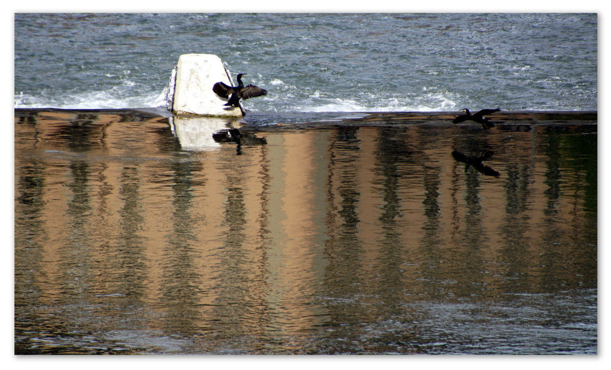 Wait for me to arrive!