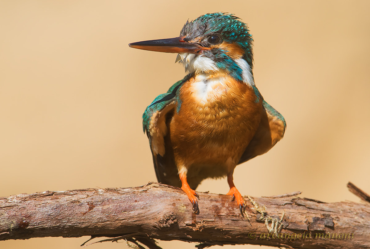 Dopo un bagno ristoratore