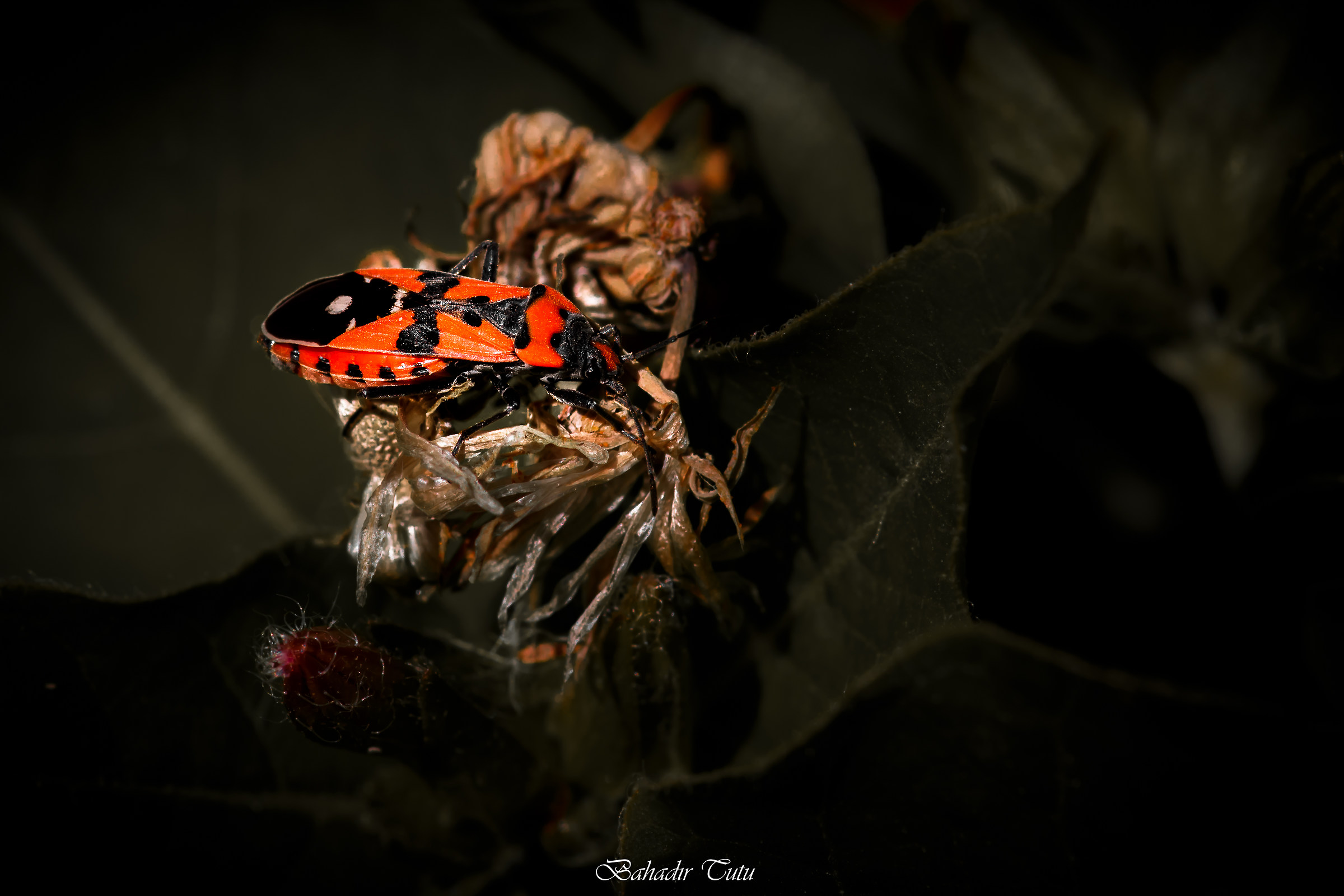 Aspettando mezzogiorno