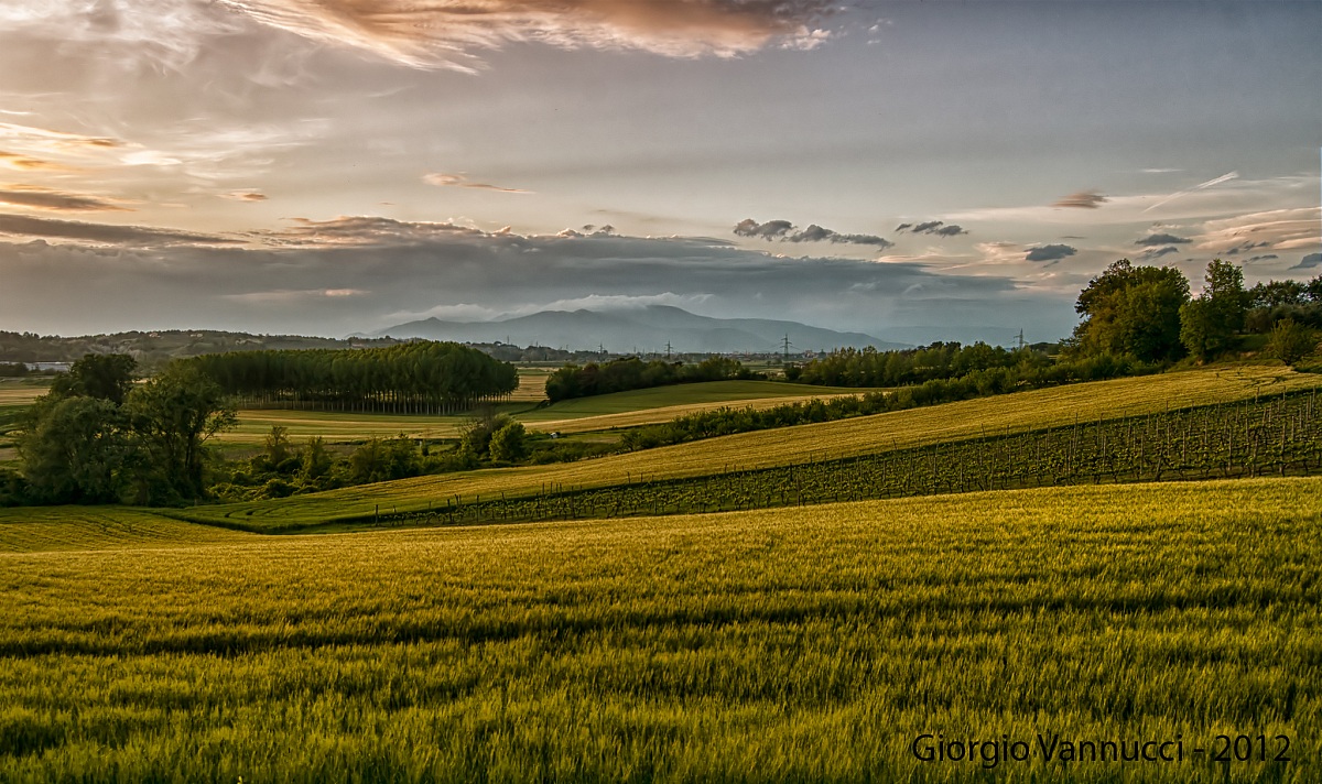 Colline Toscane al tramonto