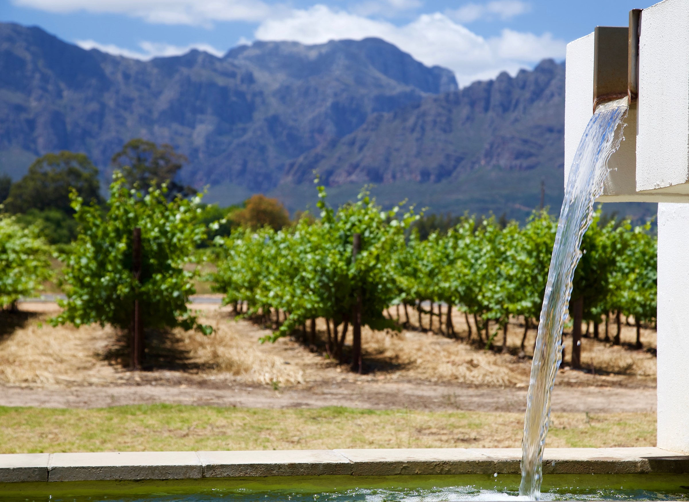 Winelands sud africa