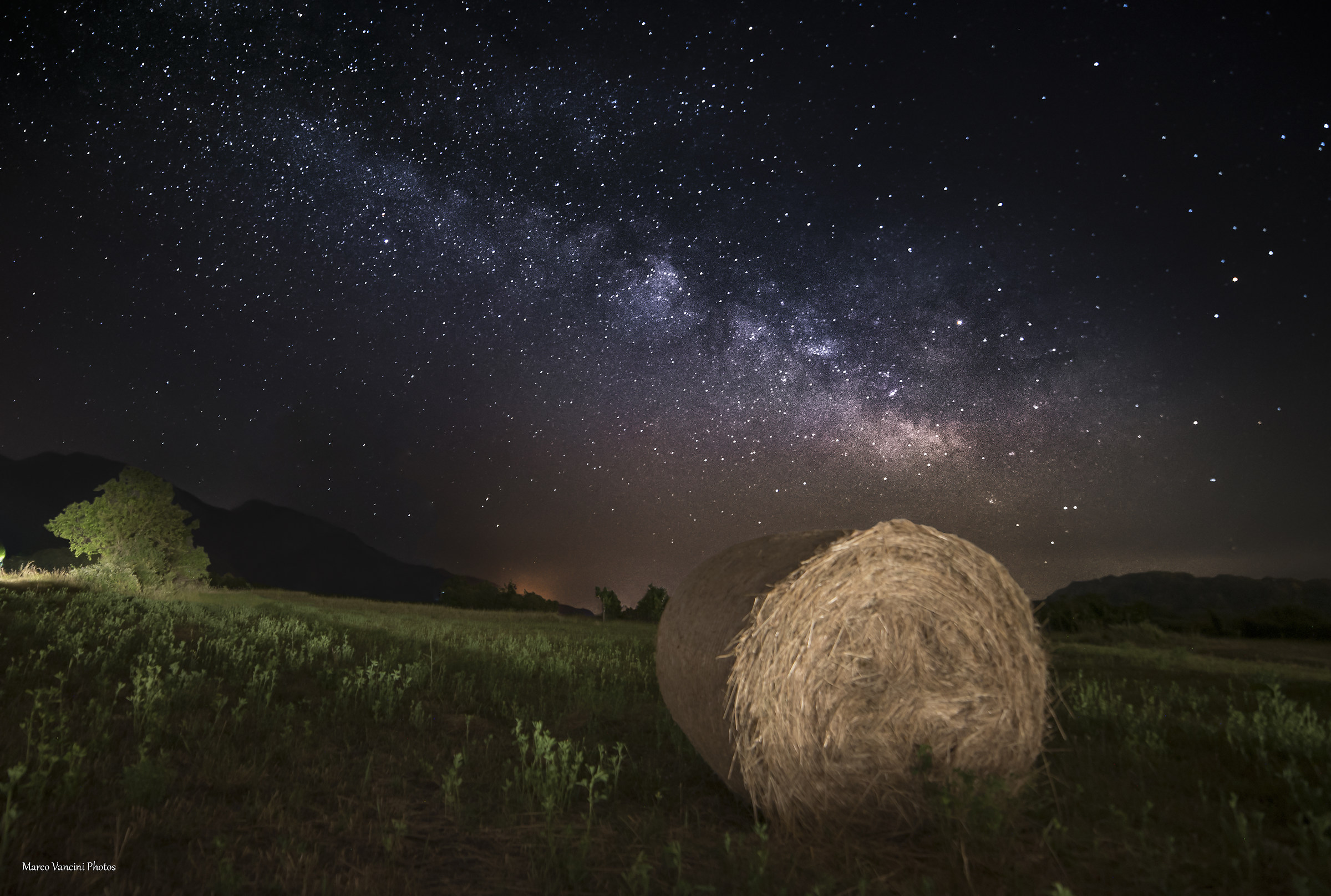 L'universo tra i campi