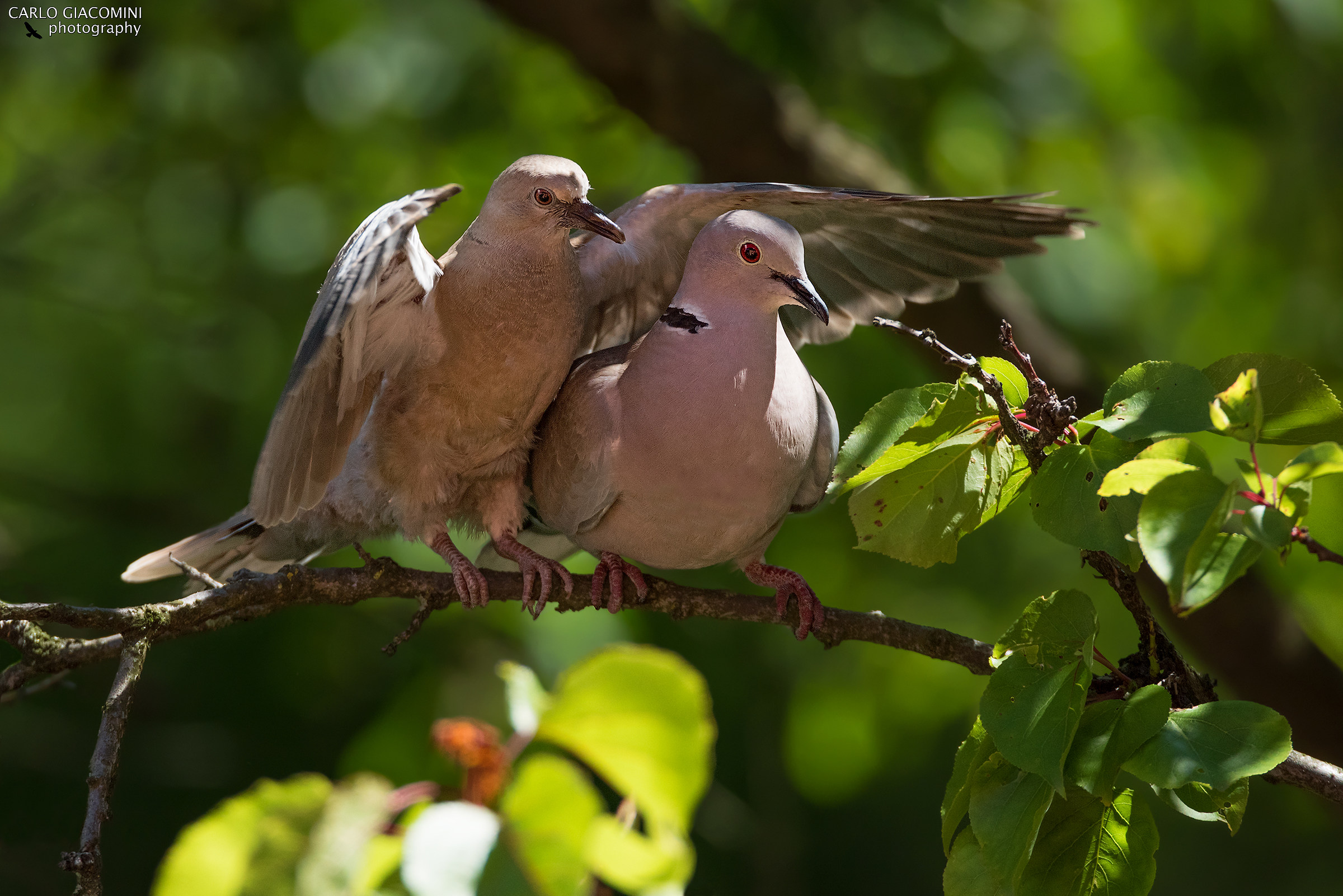 Scambio di ruoli - ti proteggo io