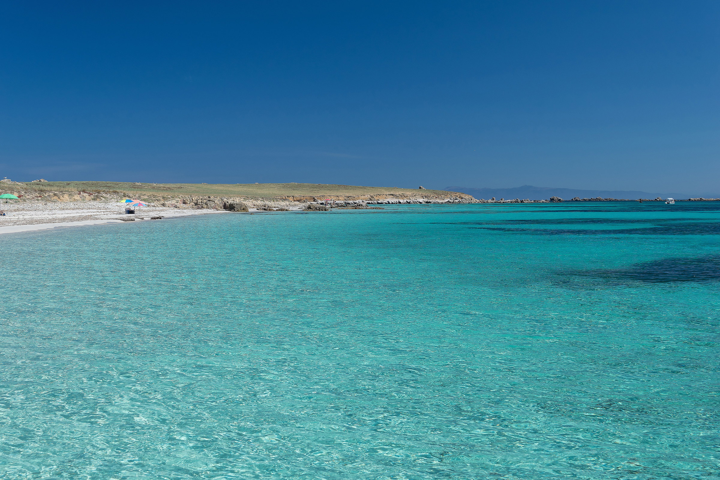 Colors of Mal di Ventre ...