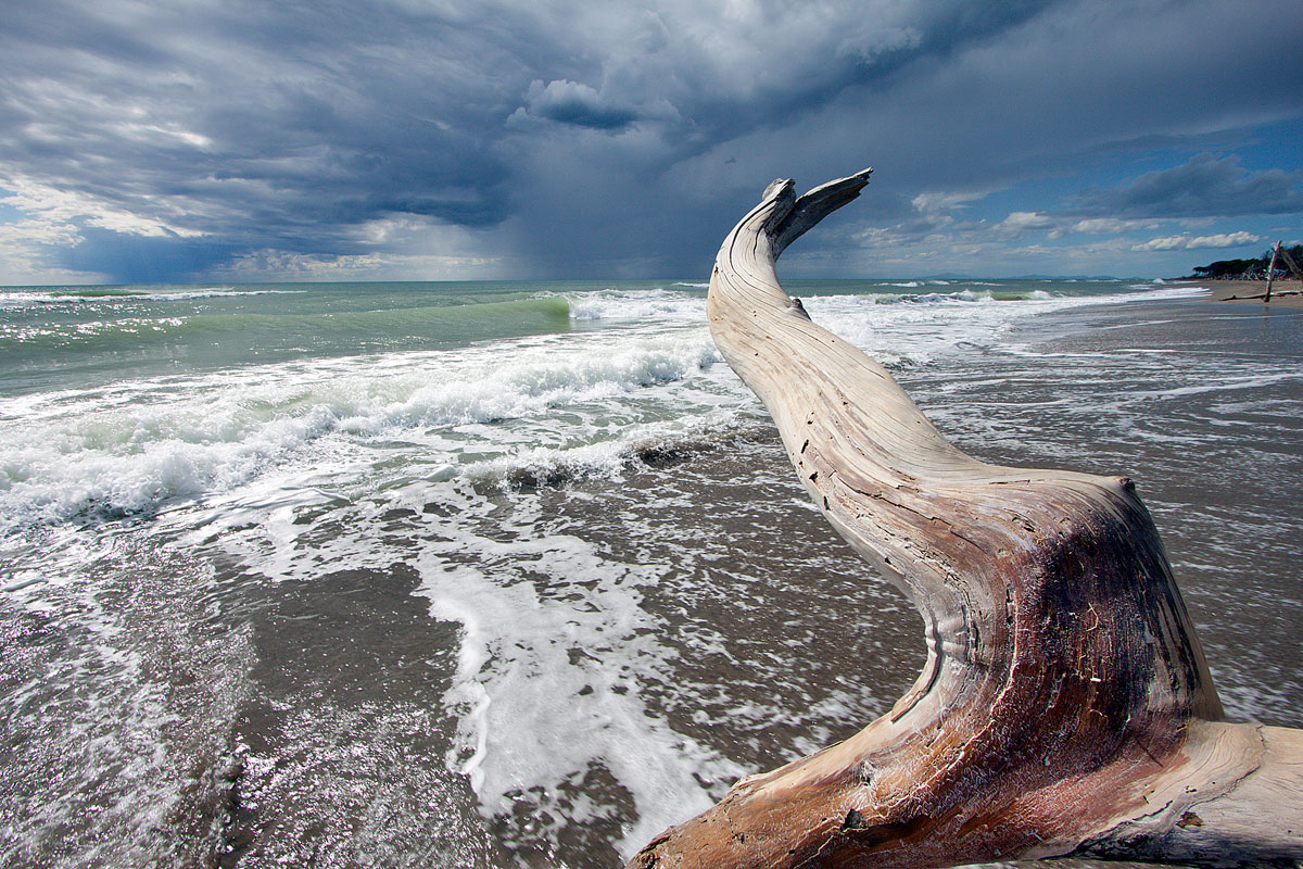 Spiaggia di Alberese