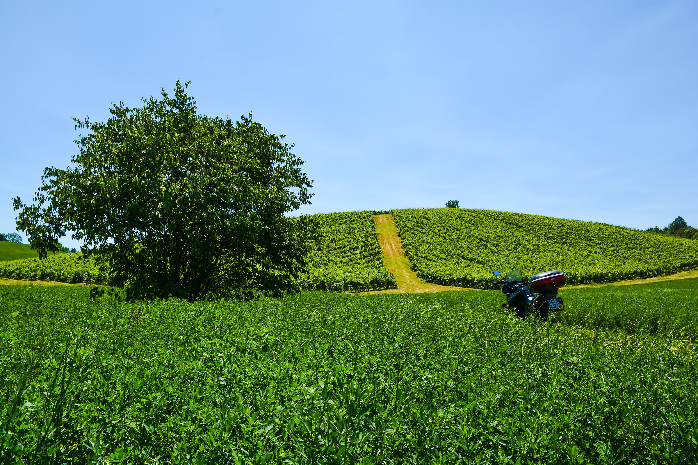 Hills of Bologna