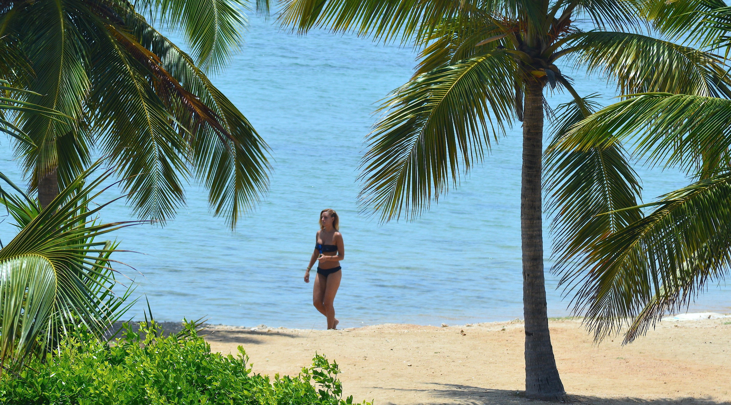 The beautiful in the walk ...