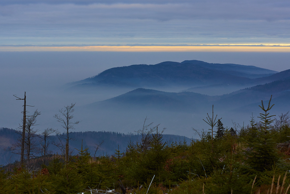 Nebbia di montagna