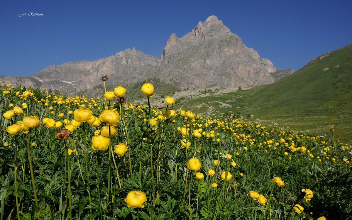 Il Chersogno in giallo...
