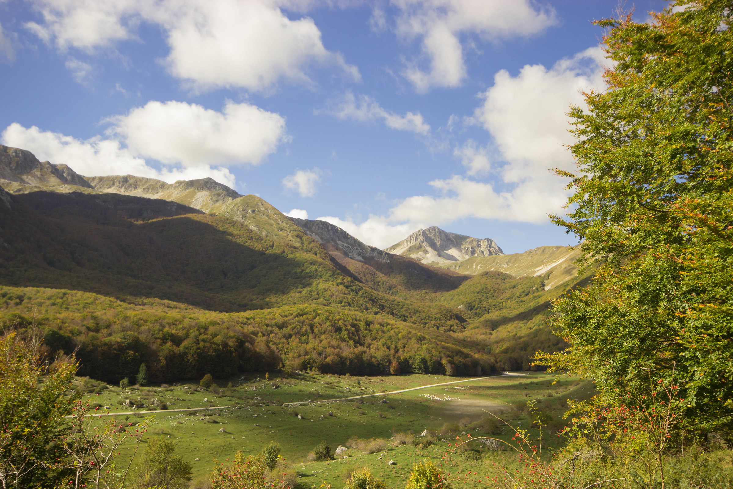 Monte Meta from Pizzone