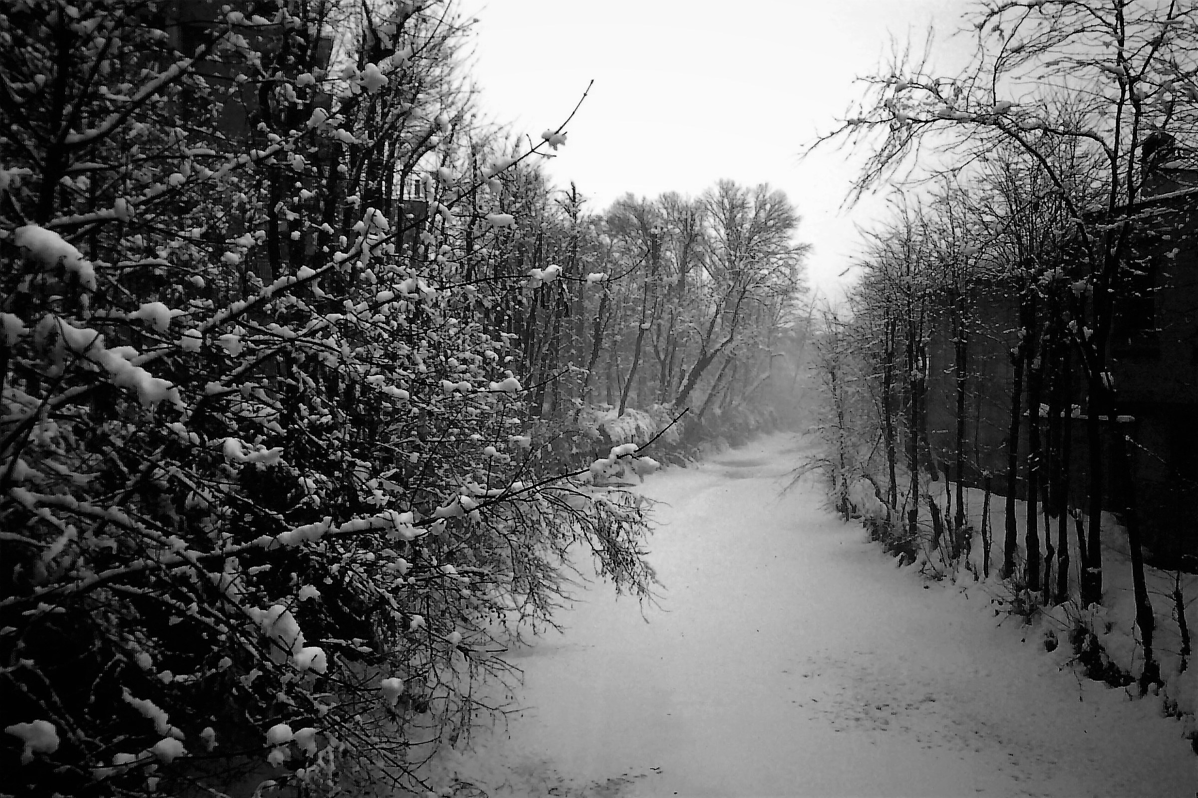 The river under the snow