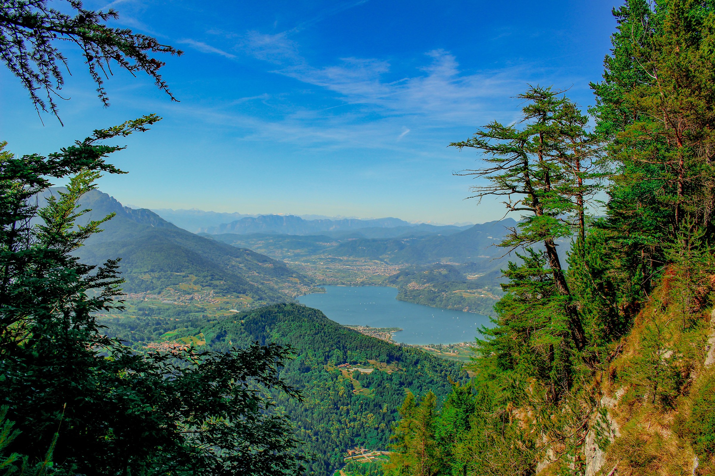 Breath of trees, overlooking Lake Caldonazzo