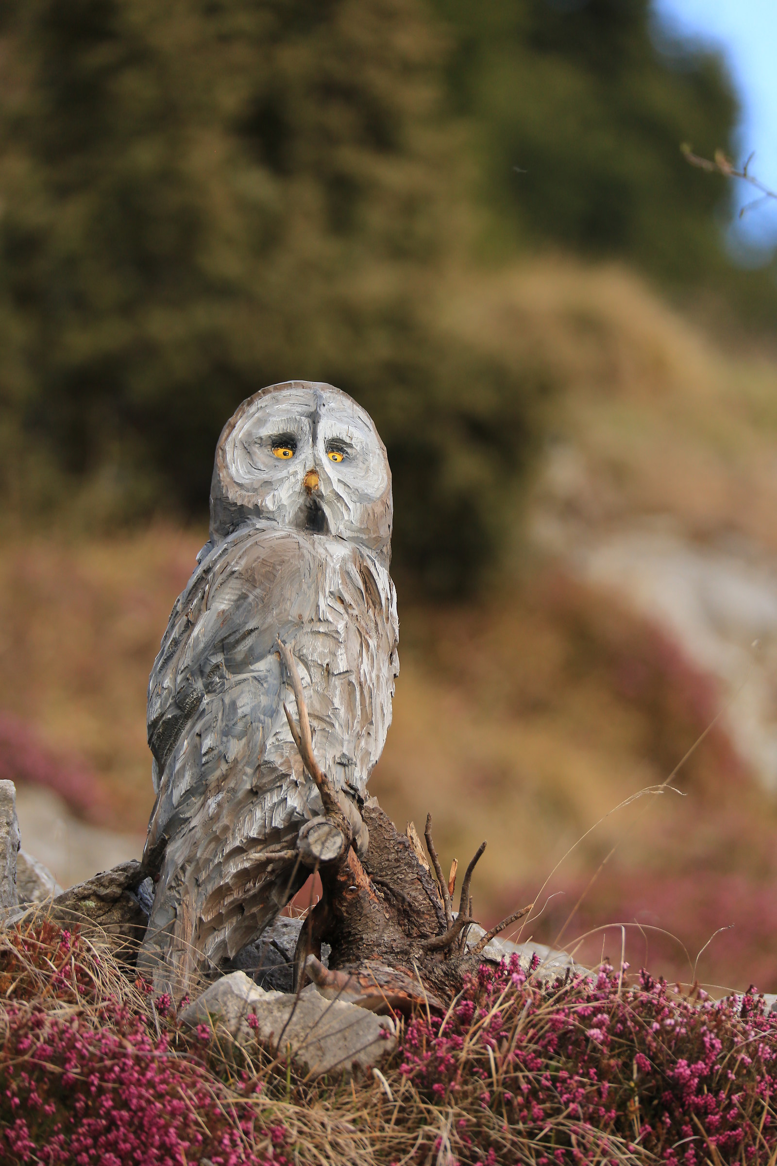 quando il legno prende vita....
