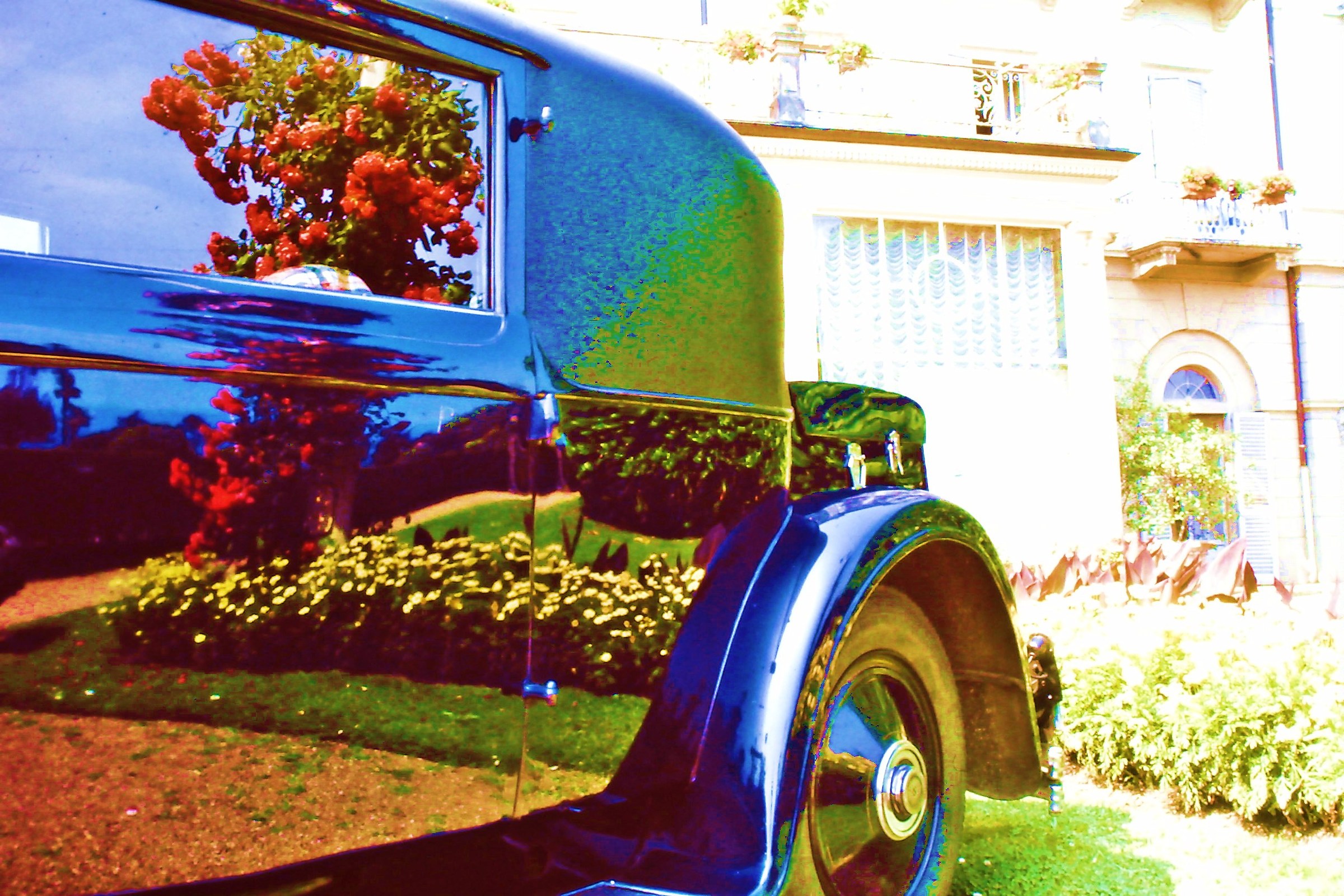 6 - ospite importante - VB Stresa