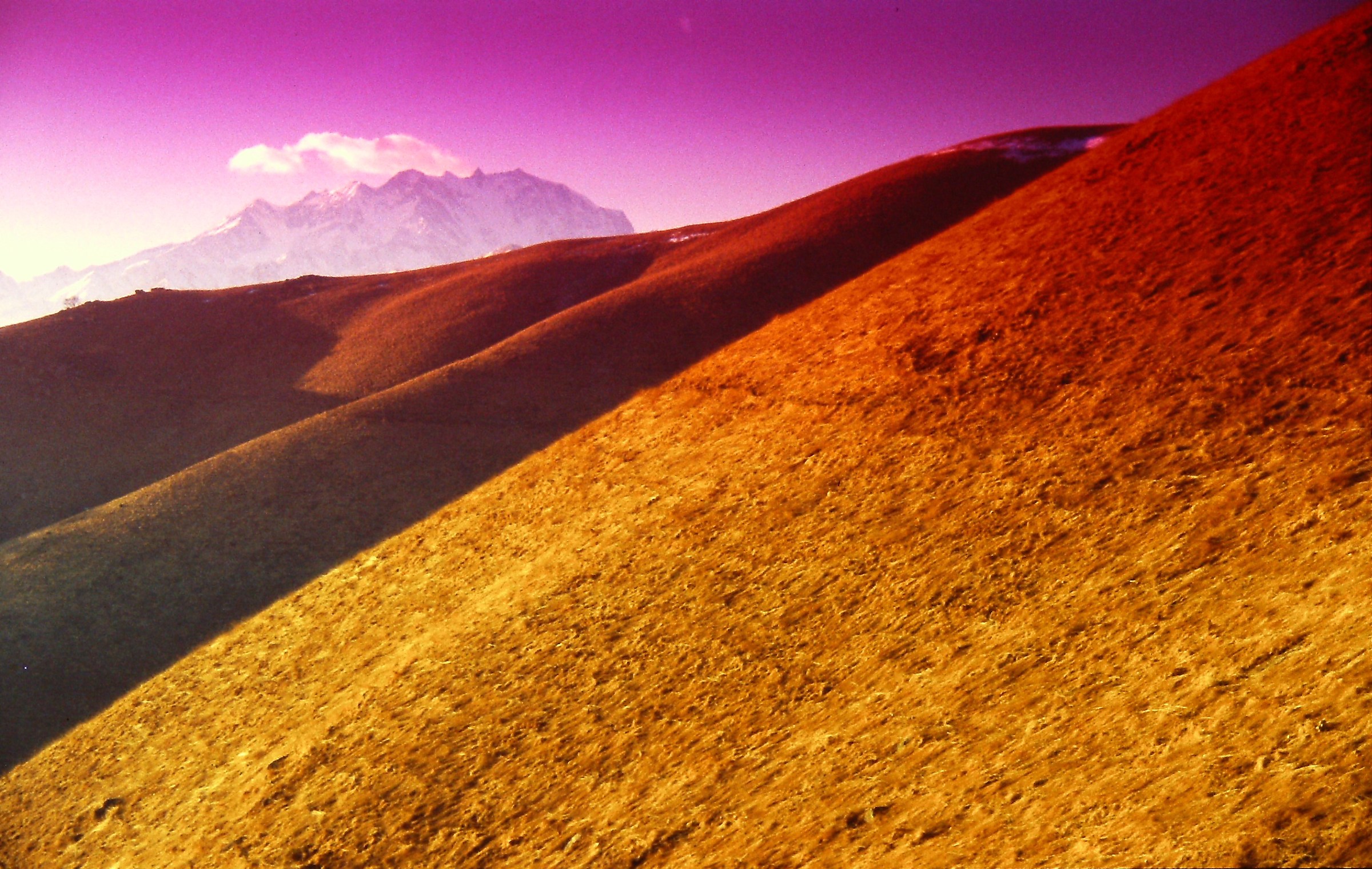 14 - drappi lussuosi su ruvido sfondo - VB Mottarone