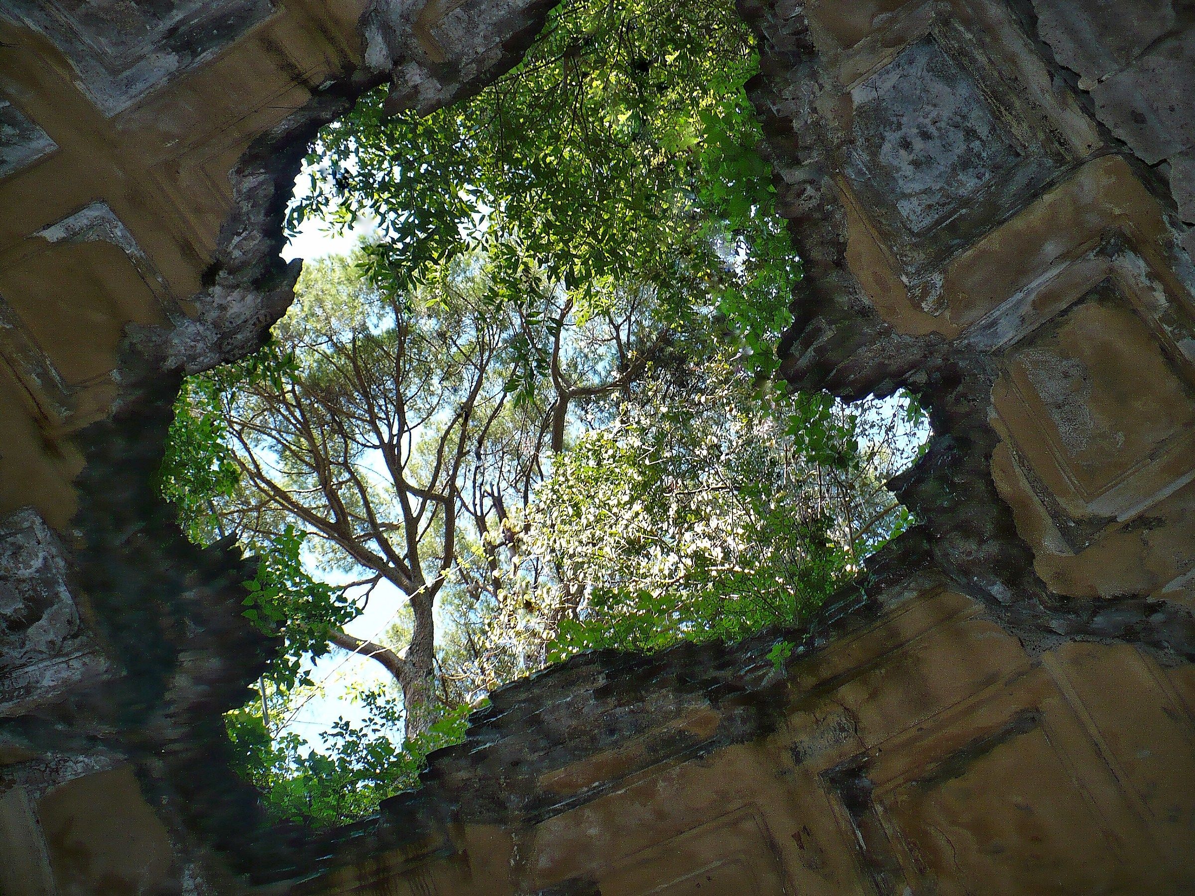 A look over the roof