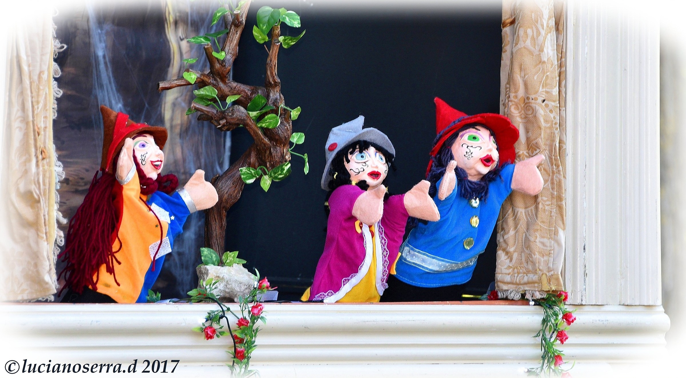 La Congrega d'Ametista