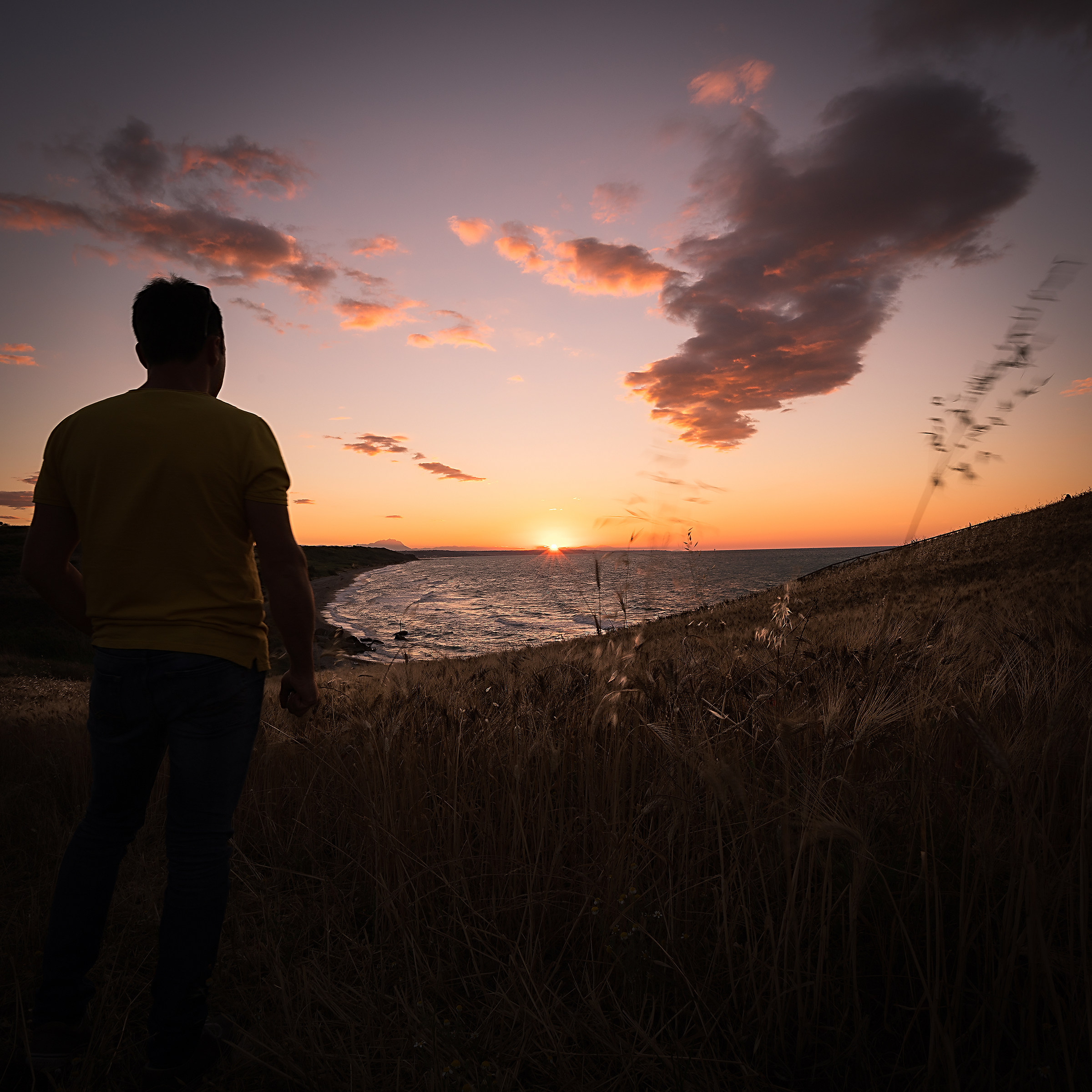 The best shows are free ..