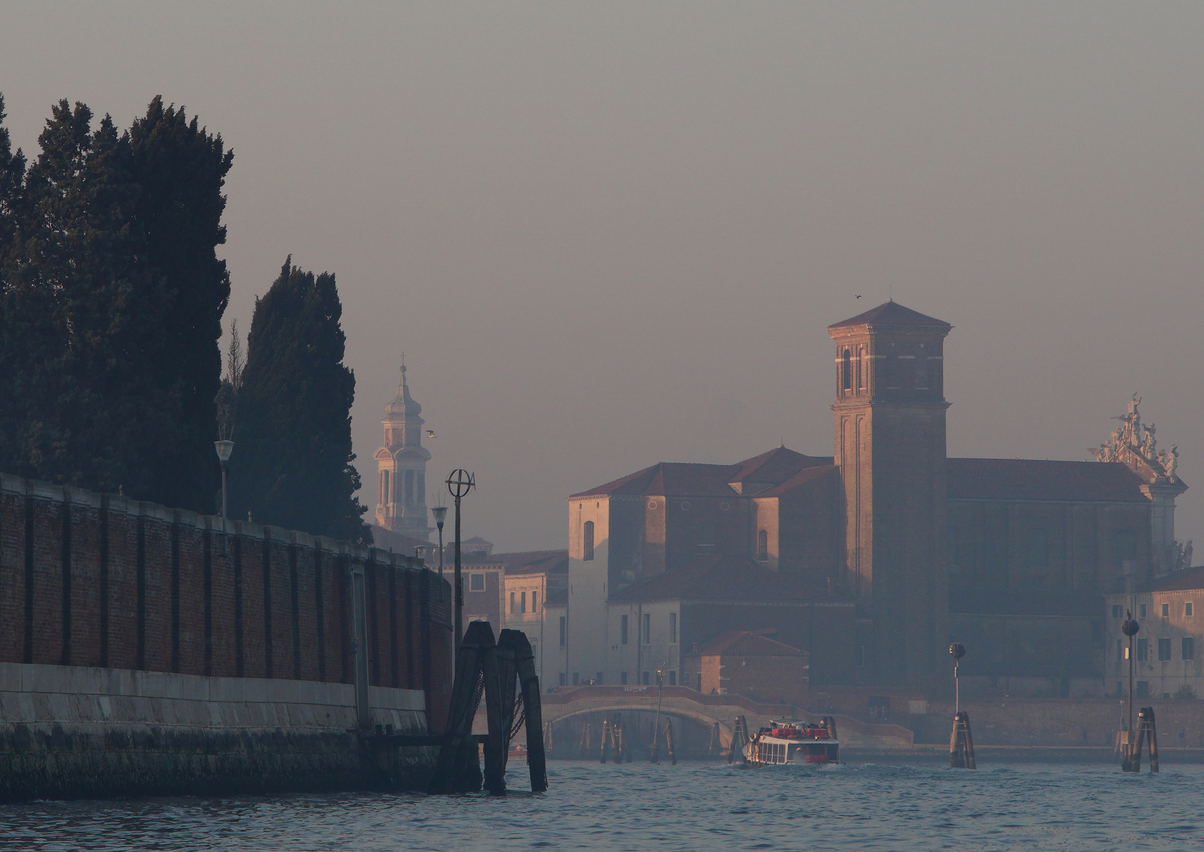 Fondly Nine at dawn in winter