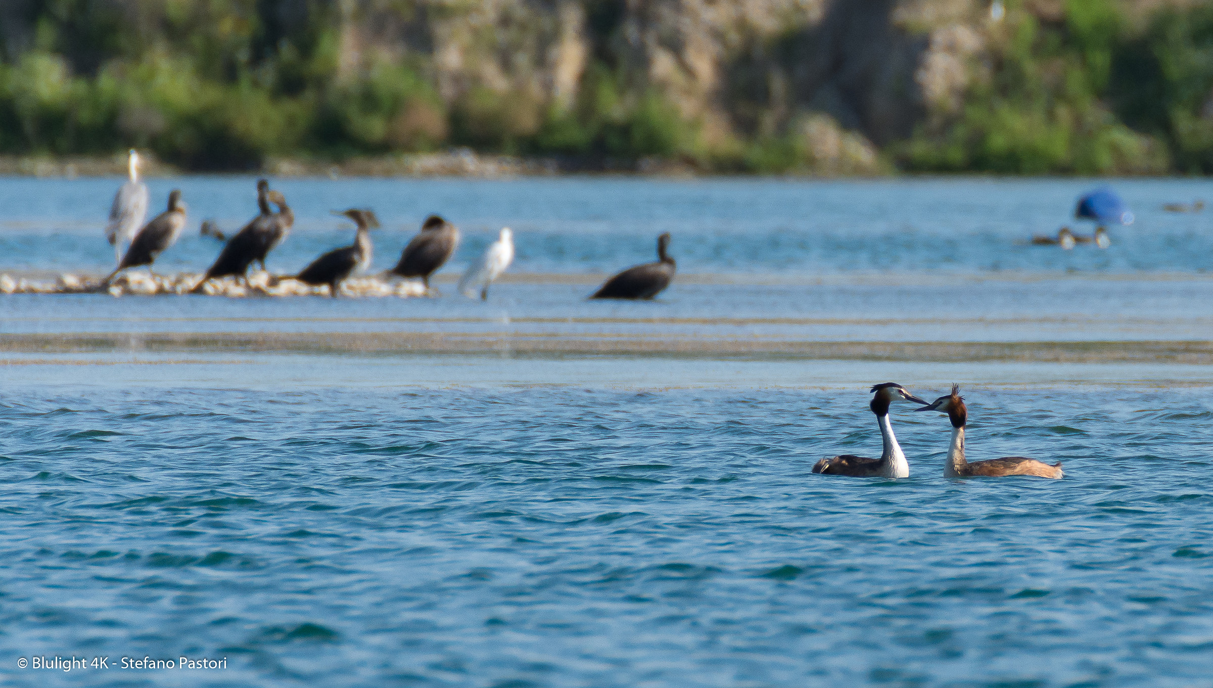 Former quarry in the River Oglio North Park
