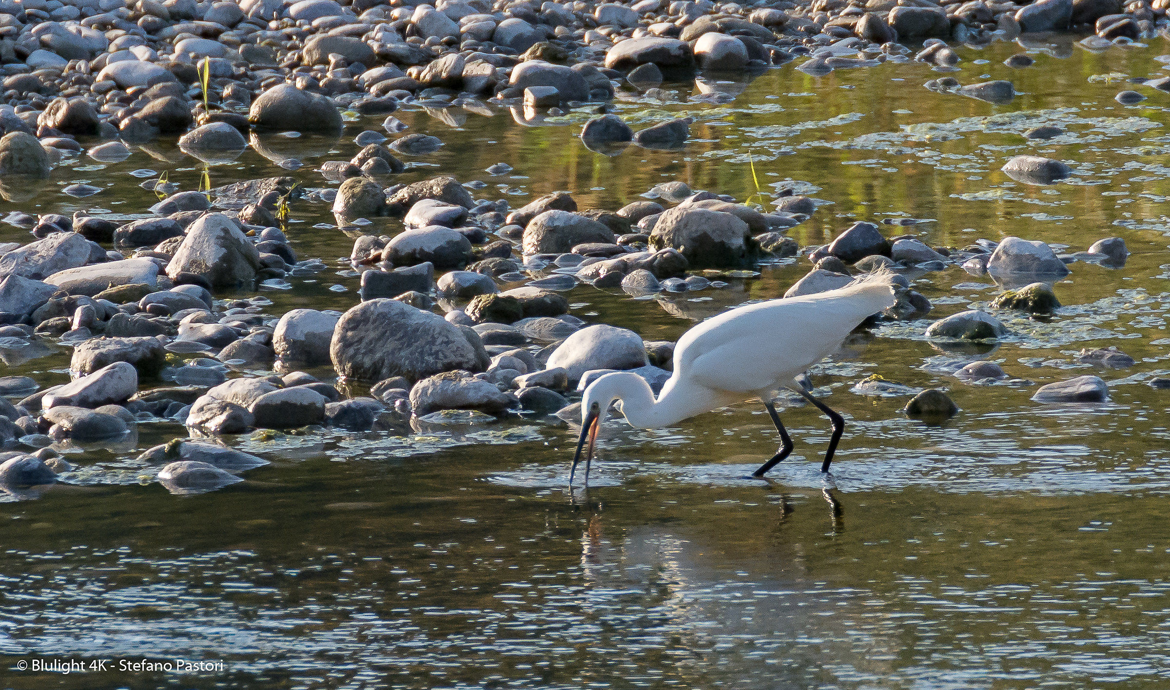 I practically crawled for 10 meters ...