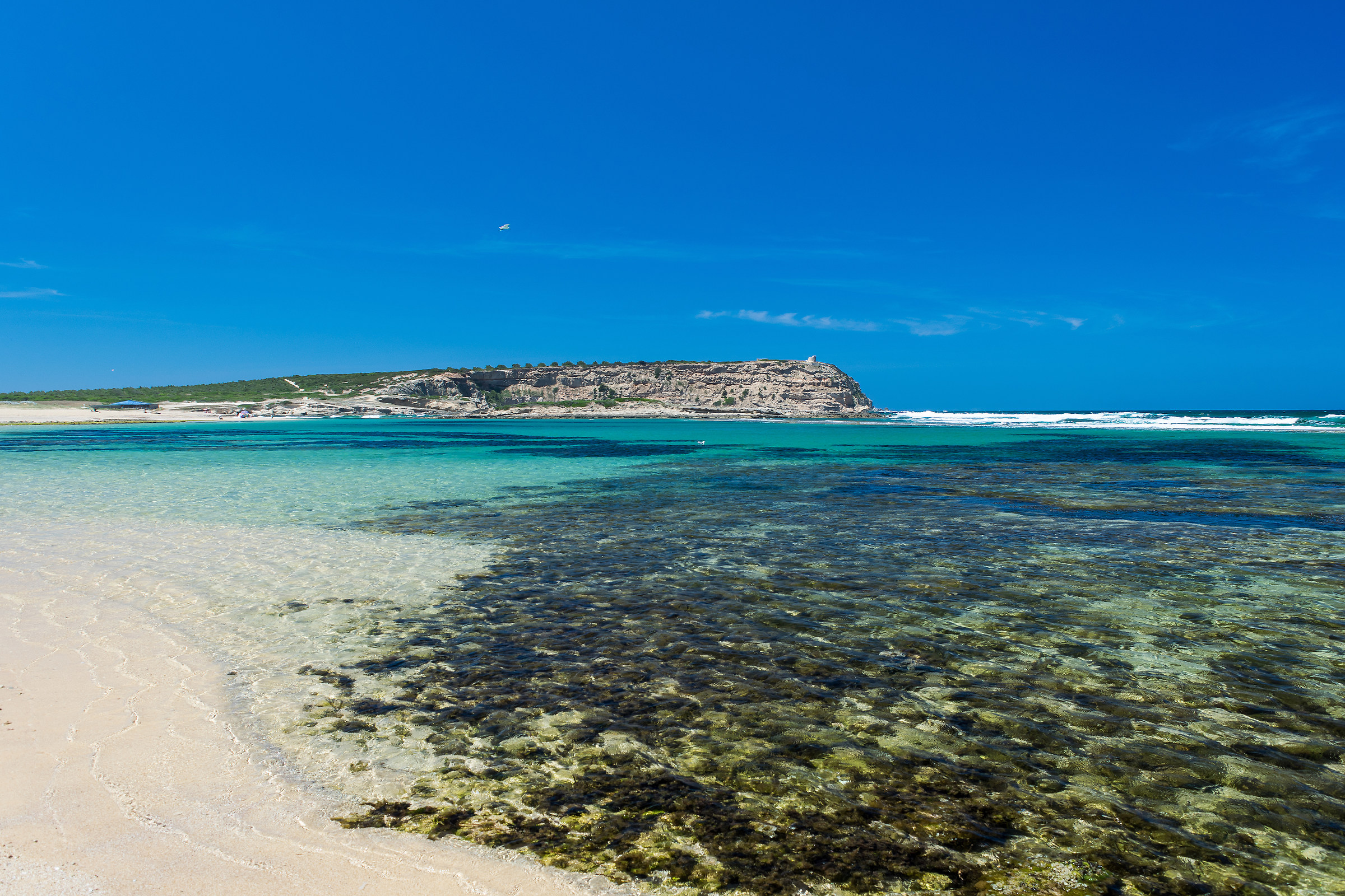 Sa Mesa Longa's Paradise