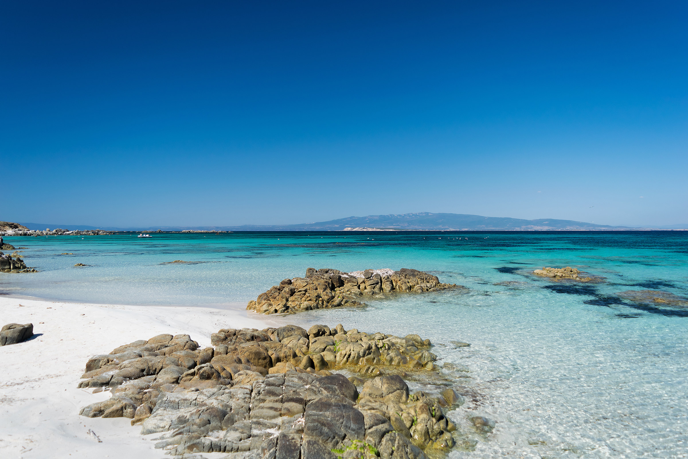 Colors of Mal di Ventre ...