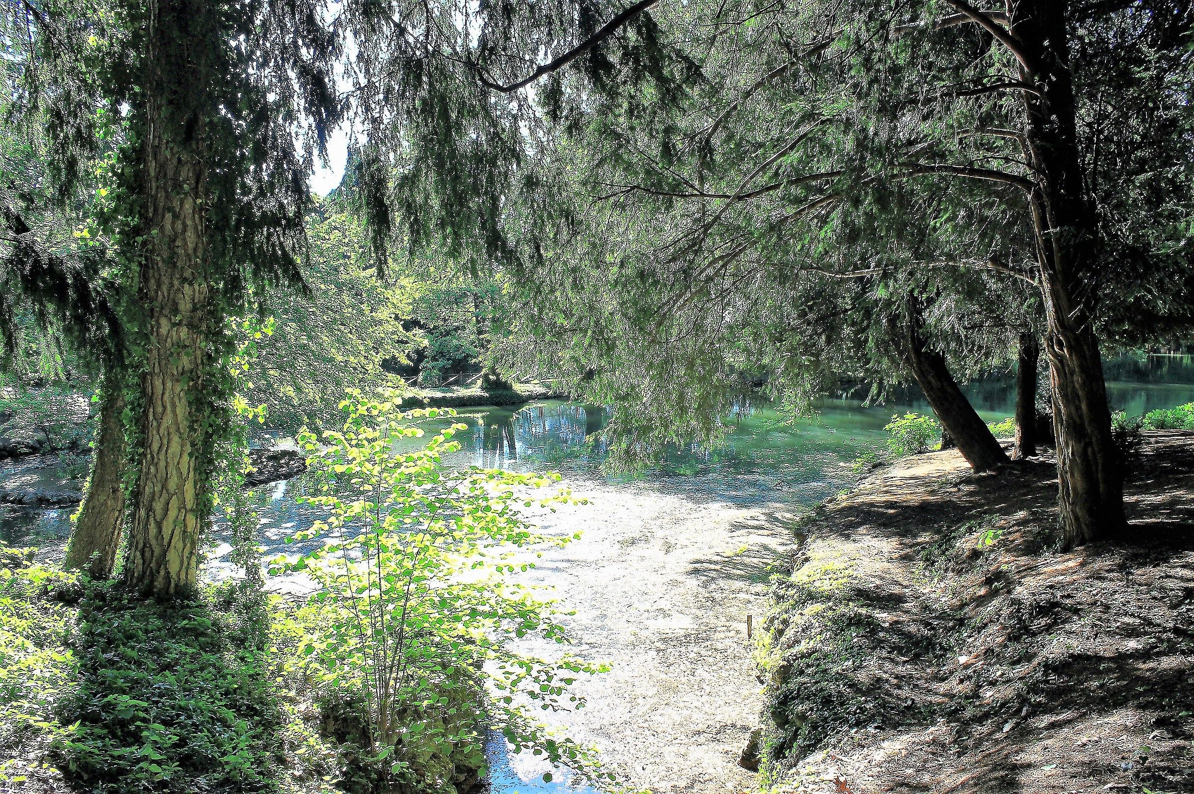 Primavera nel laghetto