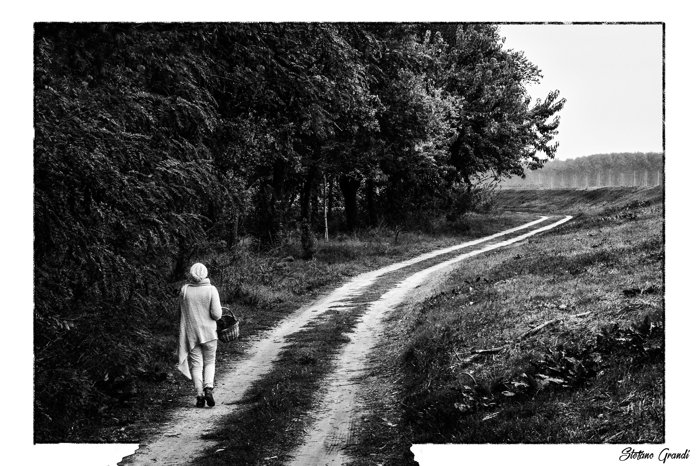 Watch out for the wolf ...