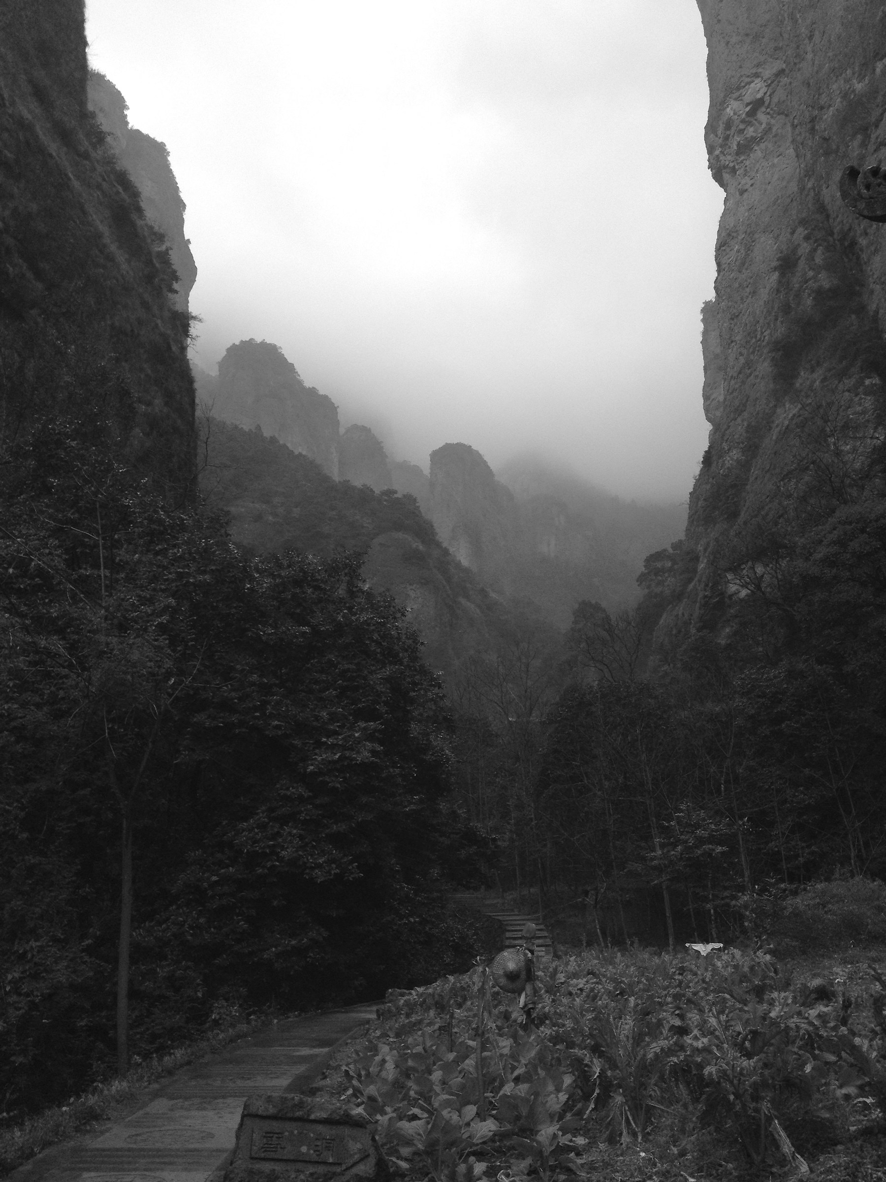 Natural landscape. Zhejiang.