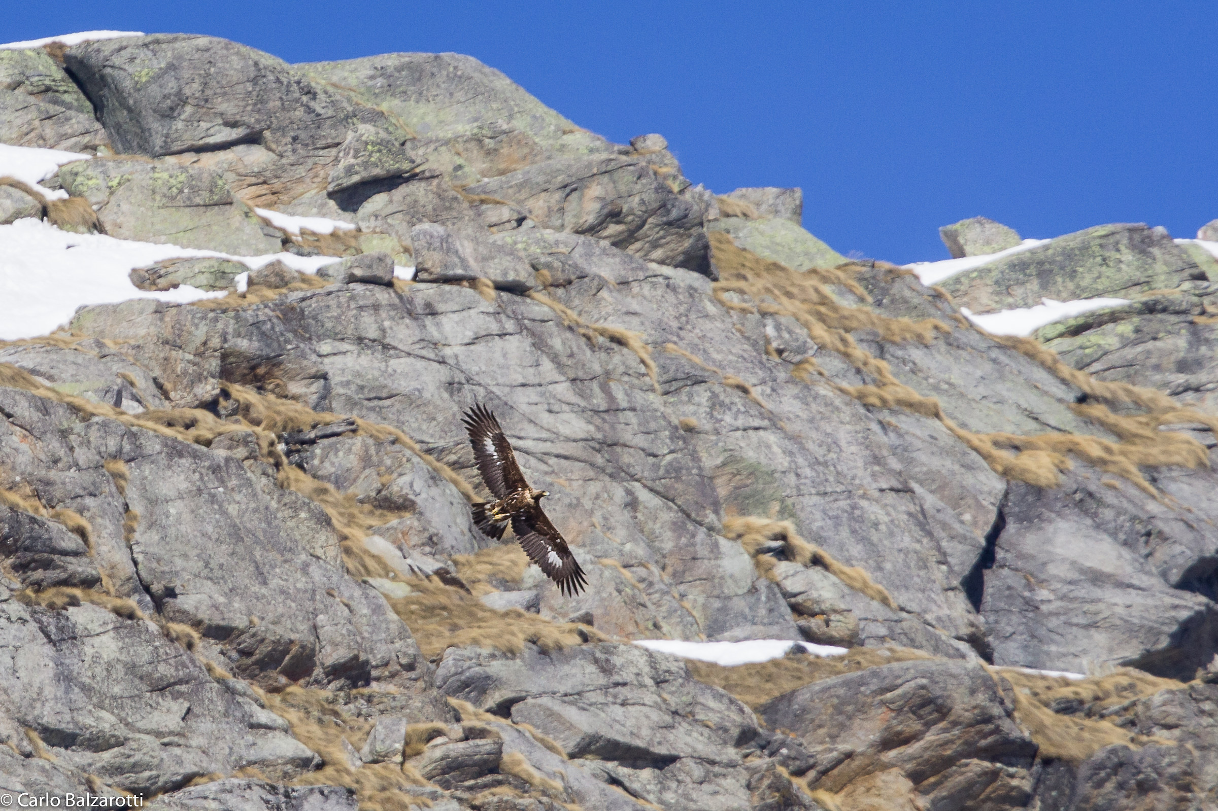 il volo dell' Aquila