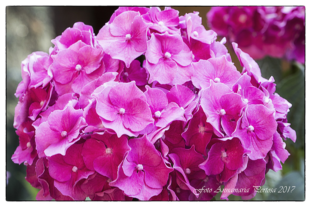 Try a new lens ... continue