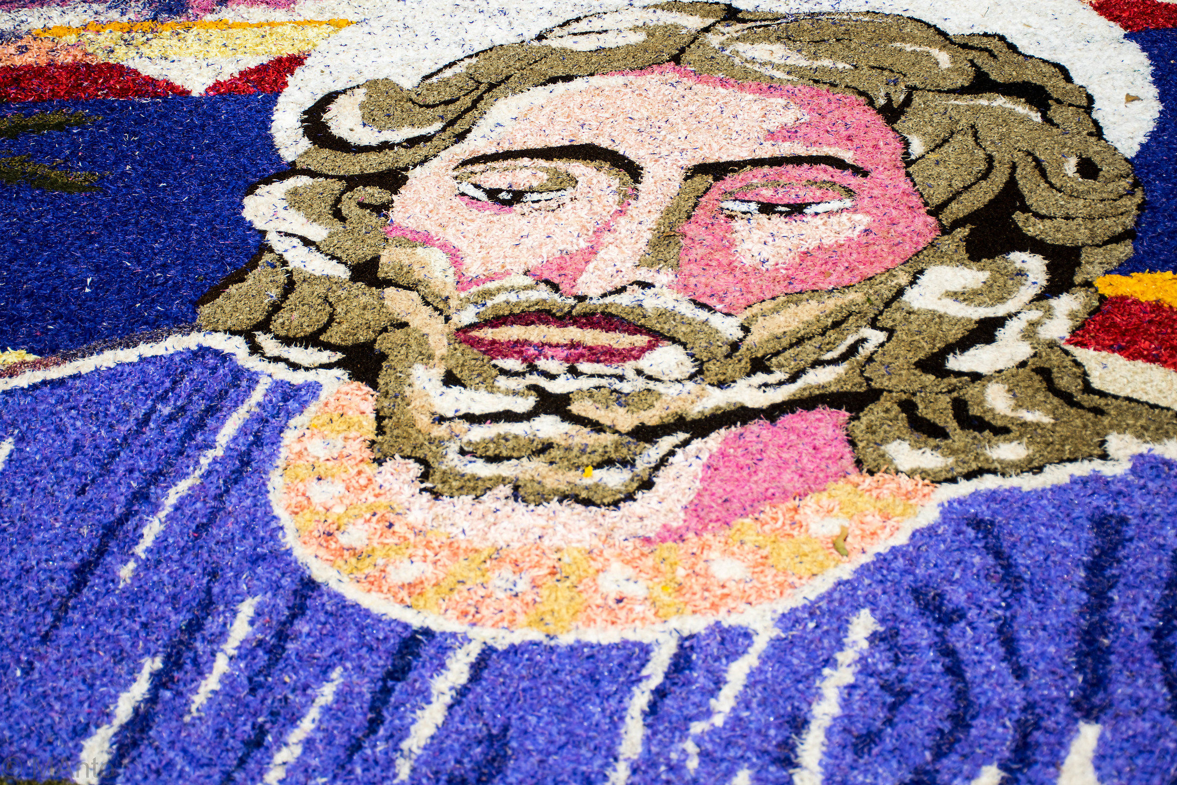 Immagine sacra - Infiorata