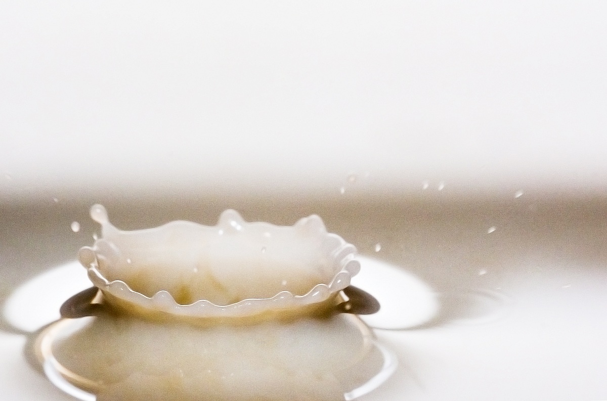 test milk and coffee