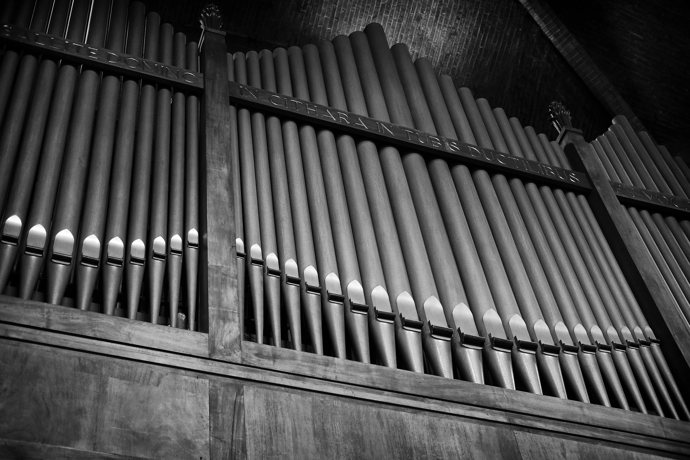 organo principale duomo di Modena