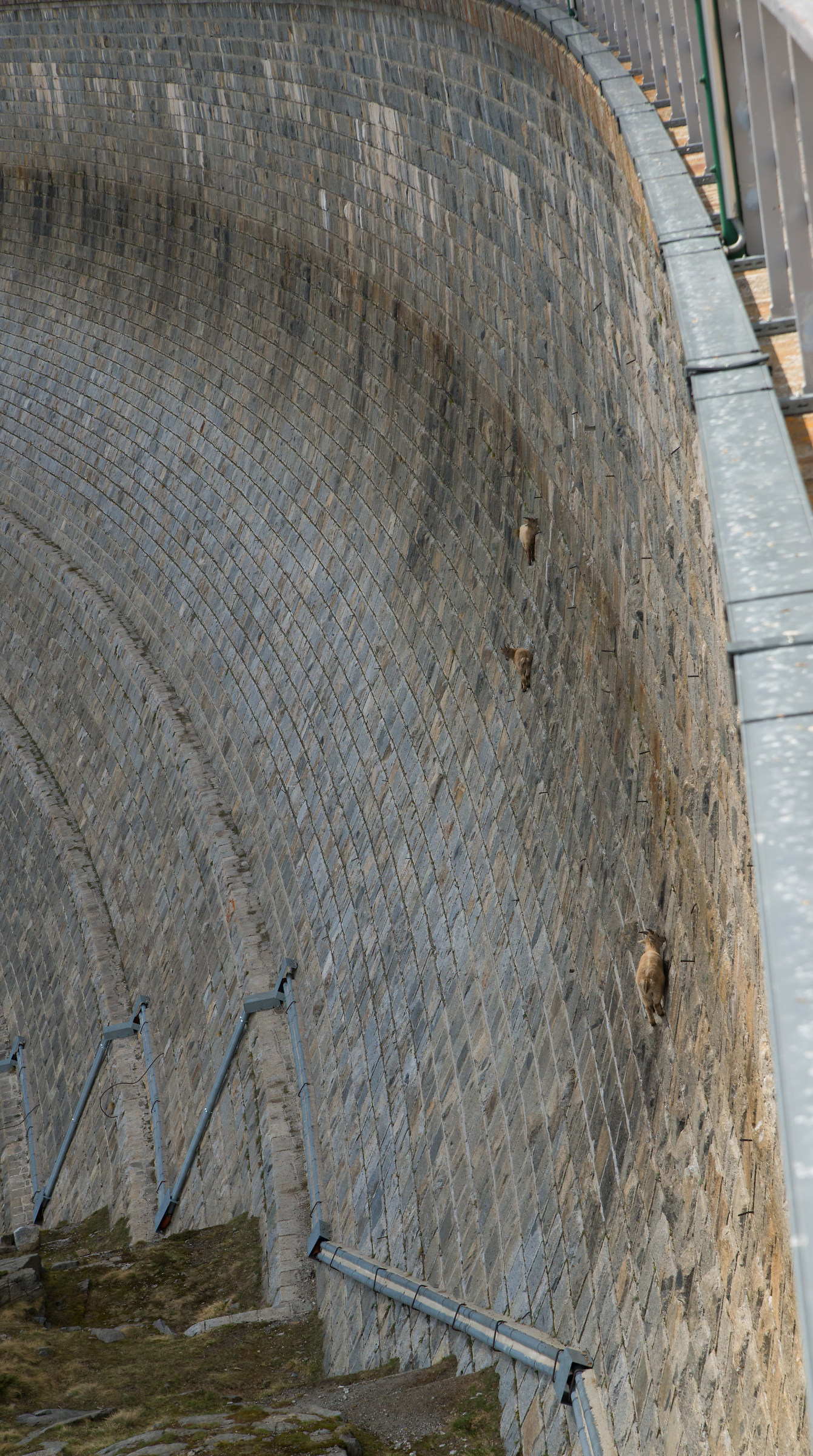 Attention Slippery Fund