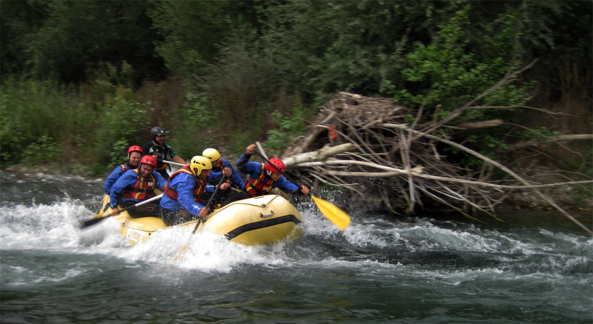 protagonista della scena