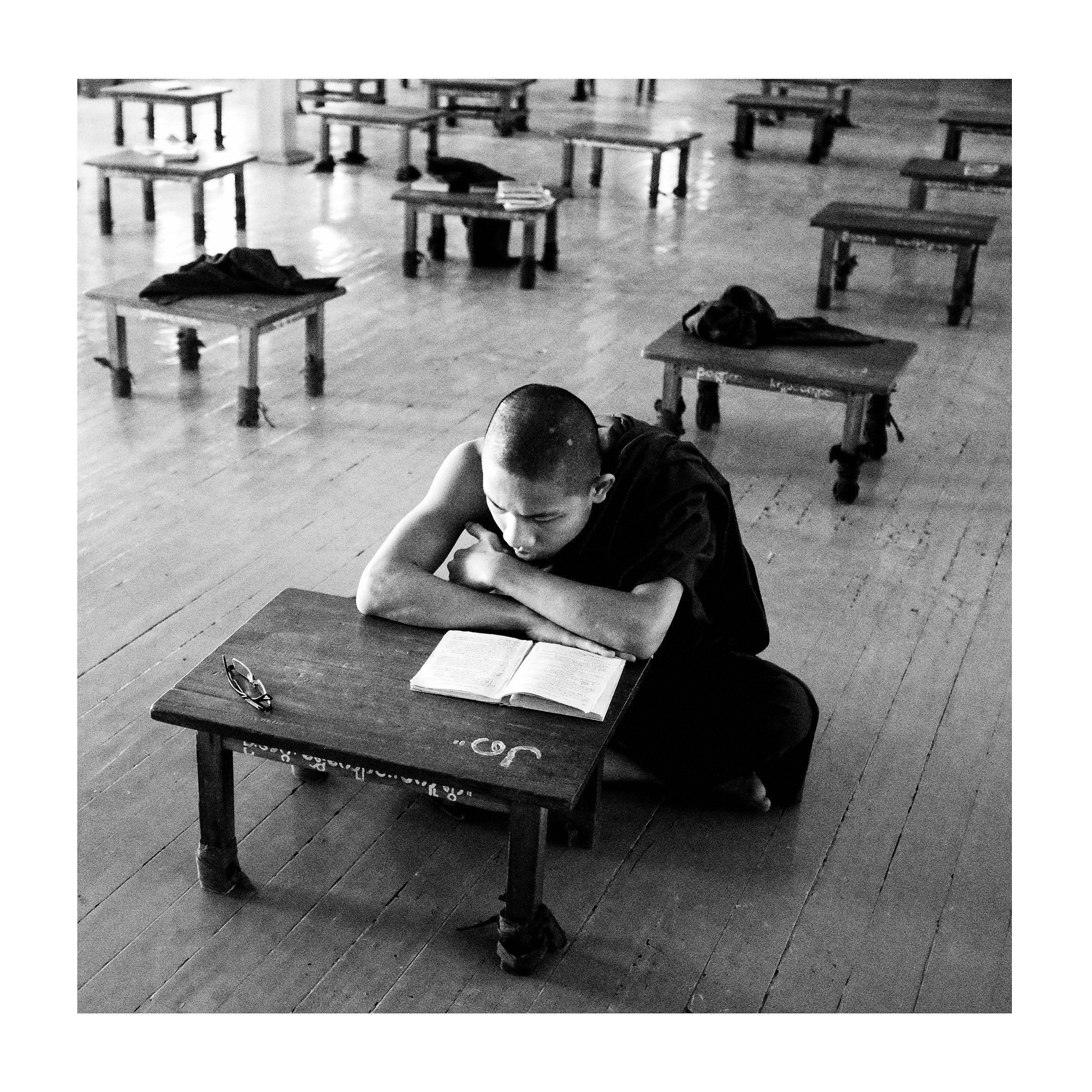 Monk during the study