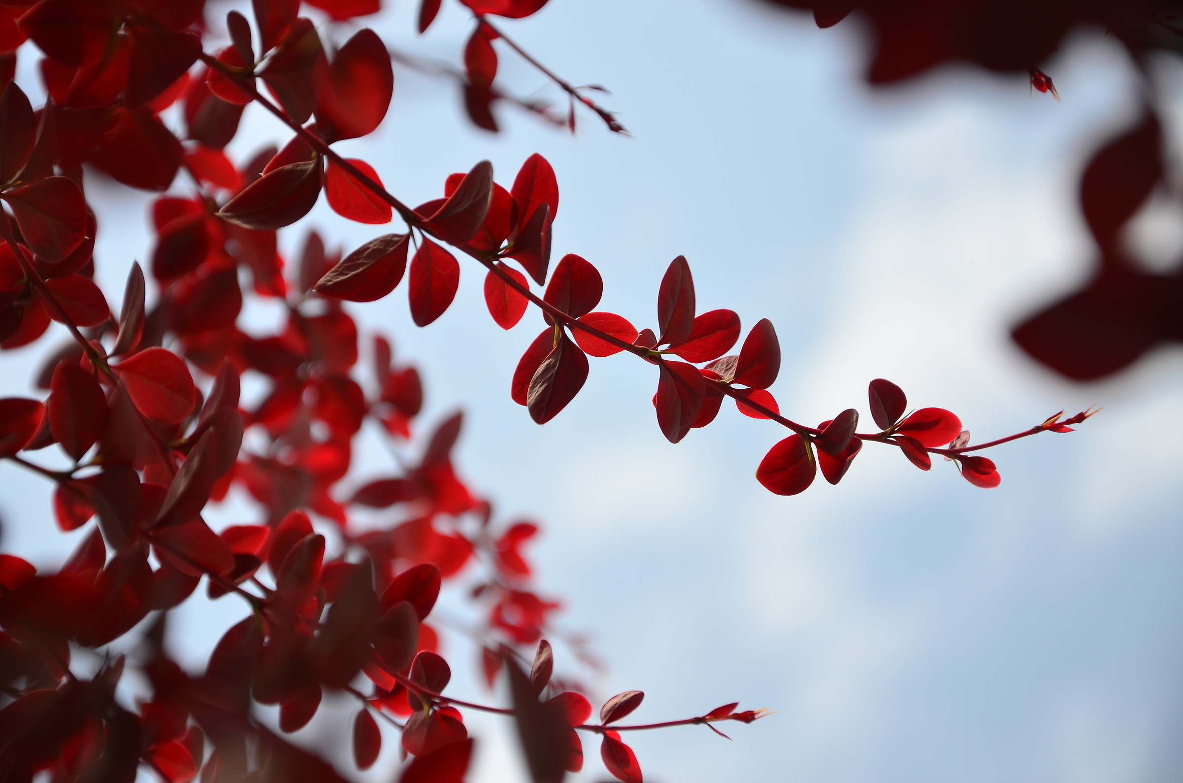 1/800 sec. F / 5.6 92mm / ISO100